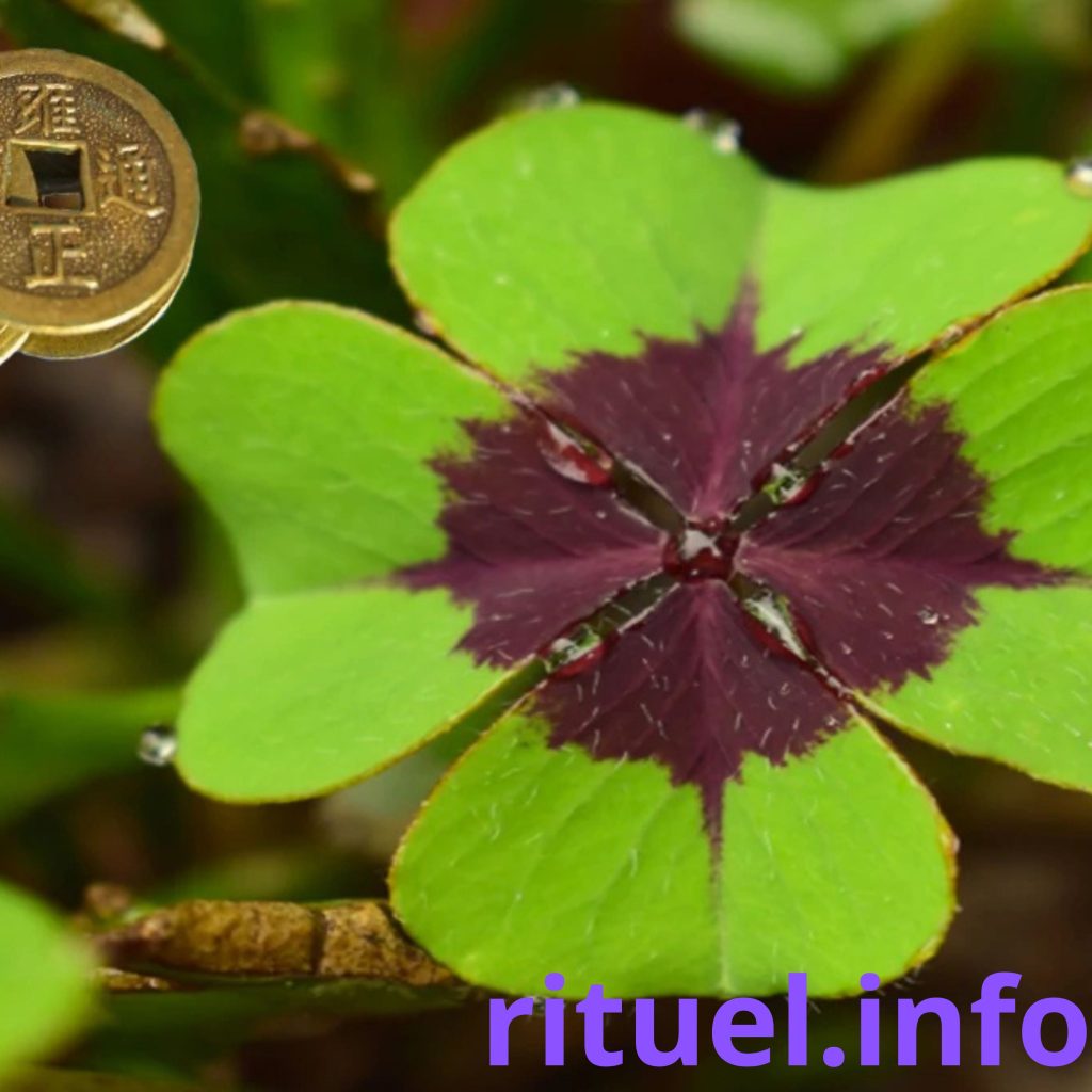 Rituel de Chance 5 Secrets Puissants pour Attirer l’Argent